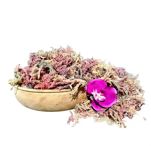 Full Spectrum SeaMoss (Bulk)