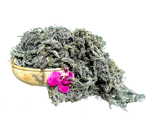 Green SeaMoss (Bulk)