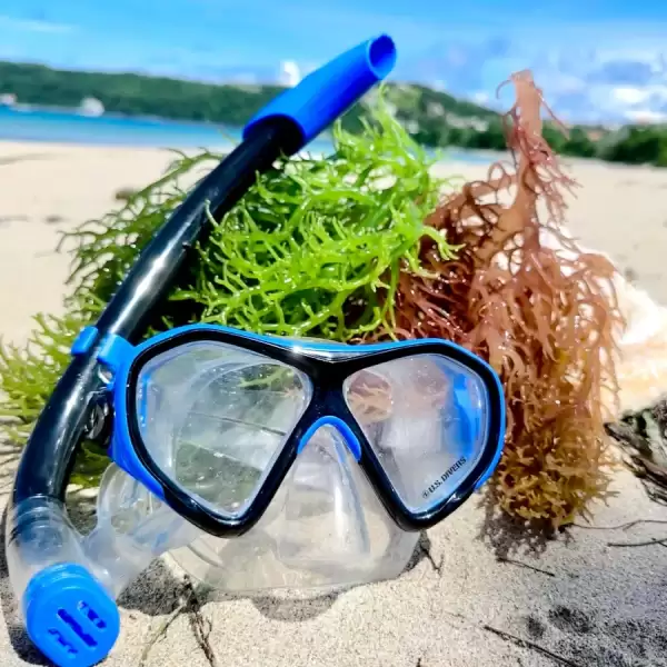 Snorkeling Gear Rental - Canouan