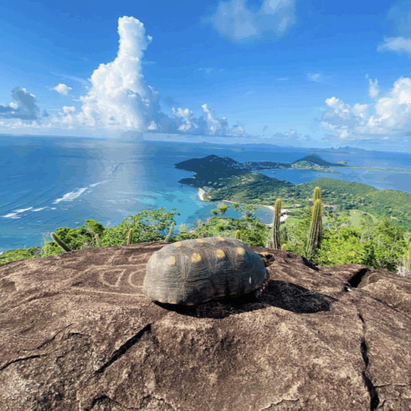 Nature Hike - Canouan